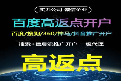 深度剖析：百度竞价推广代运营在某电商平台的成功实践